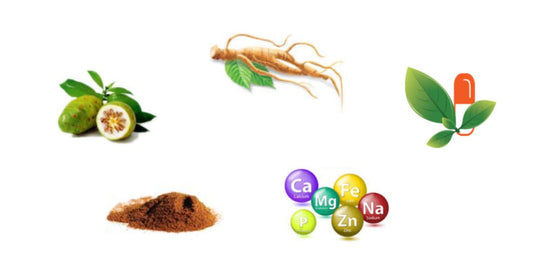 Natural Remedies for the 10 Most Common Dental Problems